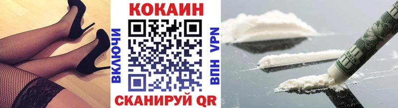 COCAIN FishScale  маркетплейс наркотические препараты  Егорьевск  купить  сайты 