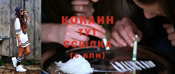 2c-b Богданович